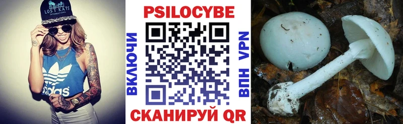 kraken как войти Новокузнецк Псилоцибиновые грибы MAGIC MUSHROOMS где найти